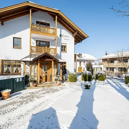 Tanner 바깅 암 제