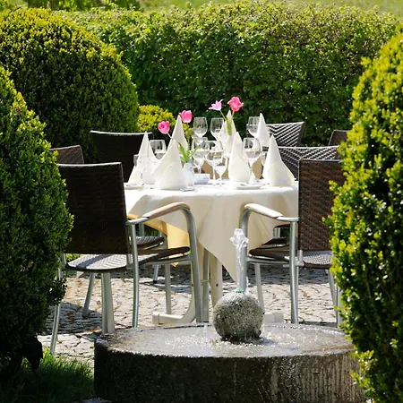 Tanner 4* 바깅 암 제